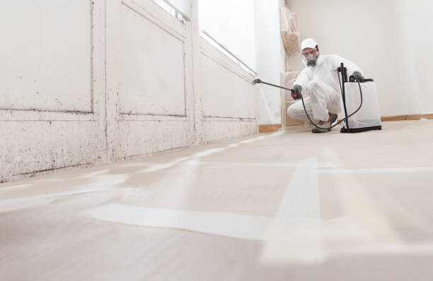 24/7 Emergency Mold Testing experts in Four Oaks, NC