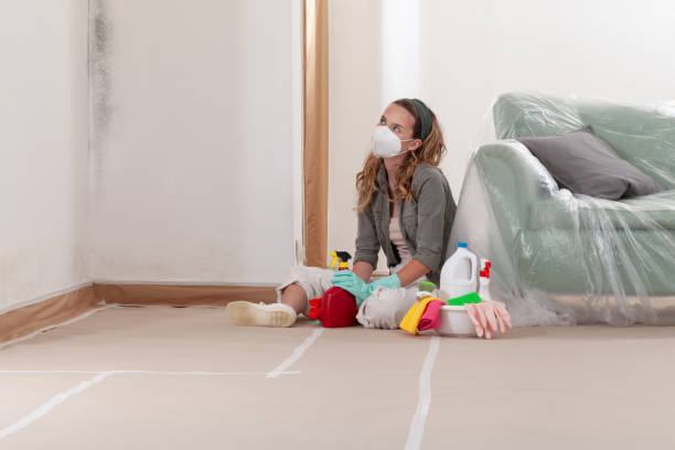 Trusted Mold Testing service in Four Oaks, NC - WQB Mold Removal