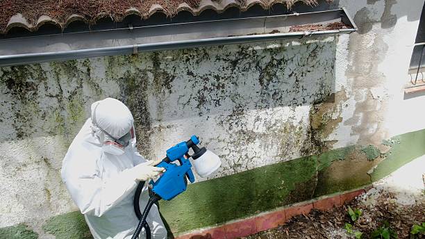 Top rated local Mold Testing specialists in Four Oaks, NC